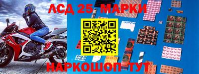 гидропоника Тверь
