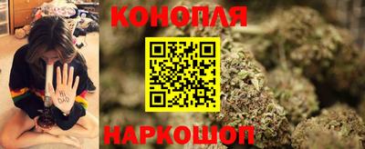 гидропоника Тверь