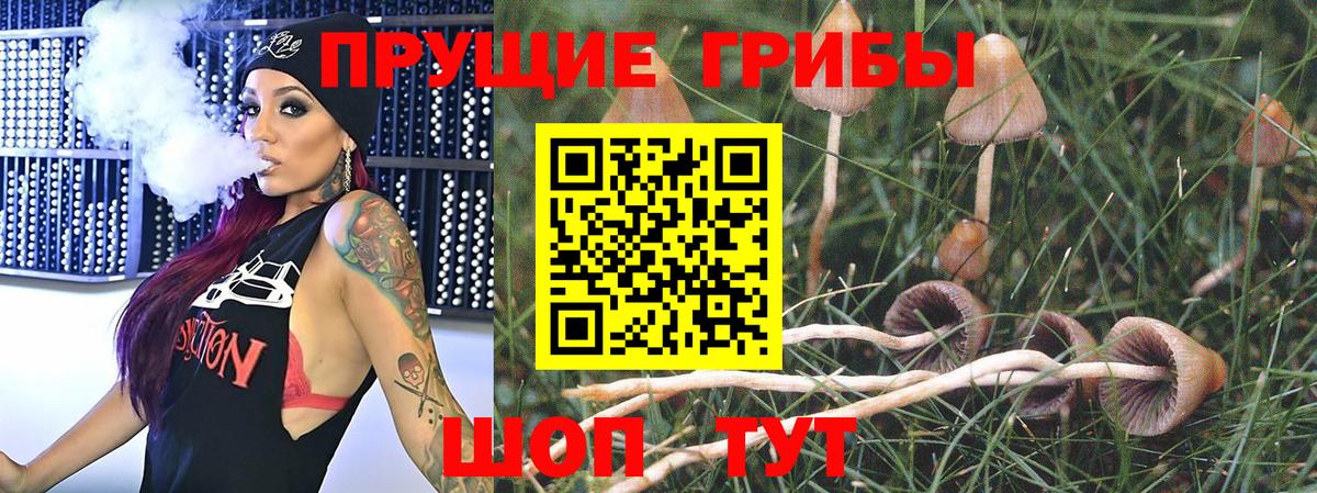 Псилоцибиновые грибы Magic Shrooms  Вход с VPN  Малгобек 