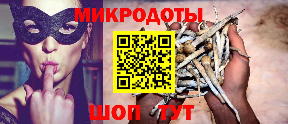 Псилоцибиновые грибы ЛСД Малгобек